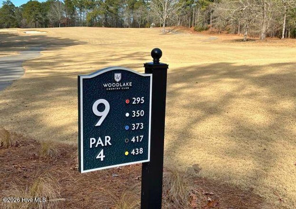 Photo of 433 Thimbleberry Drive, Vass, NC 28394 (MLS # 100483231)