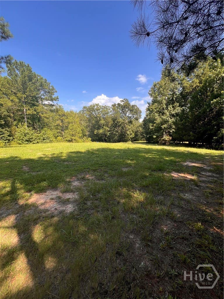 Photo of 0 Monroe Drive, Comer, GA 30629 (MLS # CL361059)