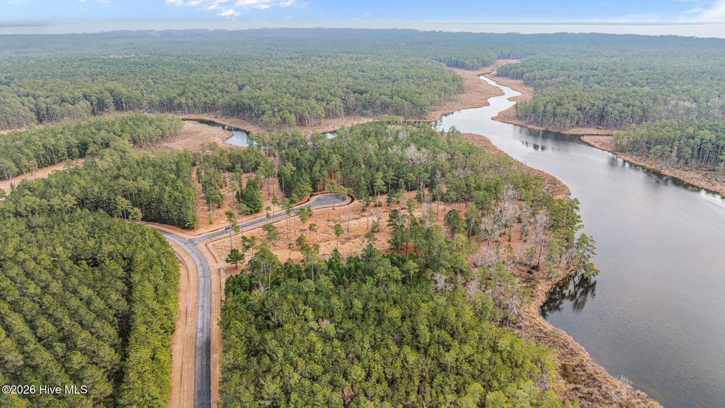 Photo of 17 Bailey Pointe Drive, Belhaven, NC 27810 (MLS # 100555833)