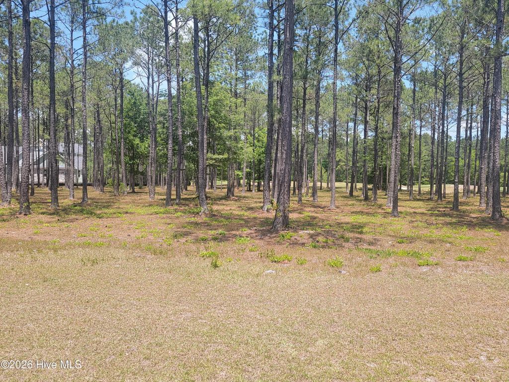 Photo of 6548 Stonley Circle SW, Ocean Isle Beach, NC 28469 (MLS # 100574610)