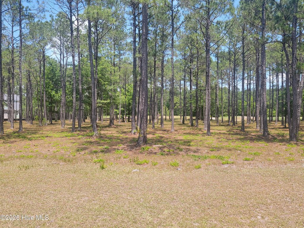 Photo of 6548 Stonley Circle SW, Ocean Isle Beach, NC 28469 (MLS # 100574610)