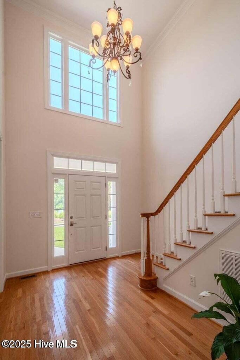 Photo of 522 Chablis Way, Wilmington, NC 28411 (MLS # 100538415)