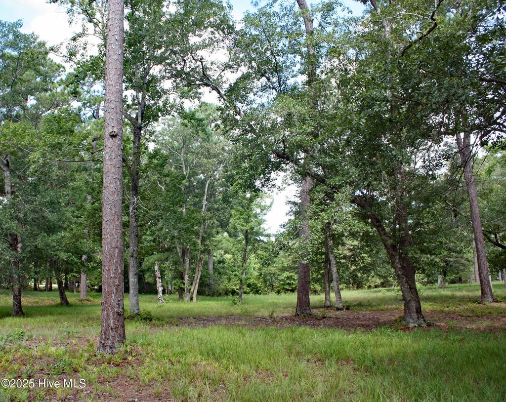 Photo of 739 Loblolly Drive SW, Shallotte, NC 28470 (MLS # 100521062)