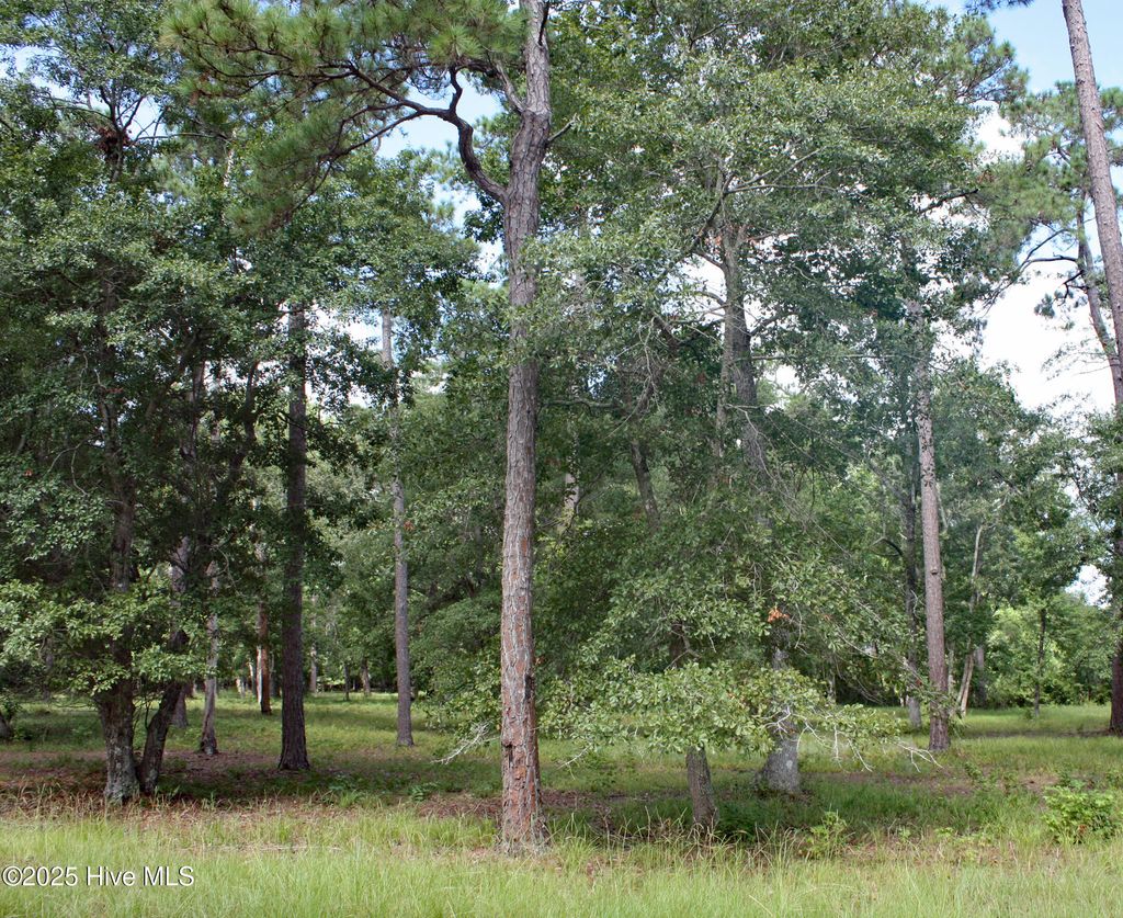 Photo of 739 Loblolly Drive SW, Shallotte, NC 28470 (MLS # 100521062)