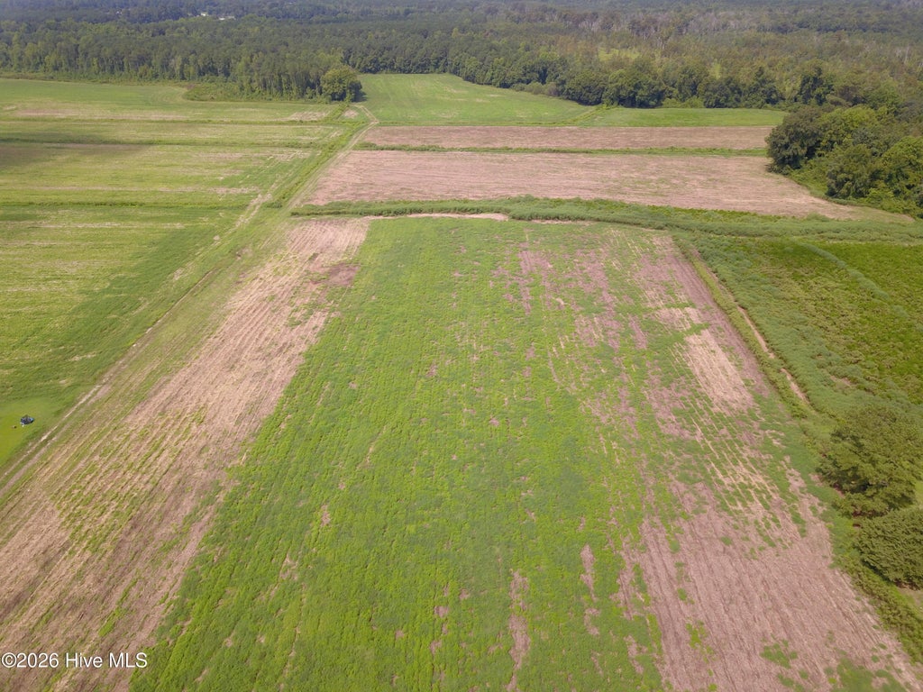 Photo of 2 S Nc 41 Highway, Wallace, NC 28466 (MLS # 100599947)
