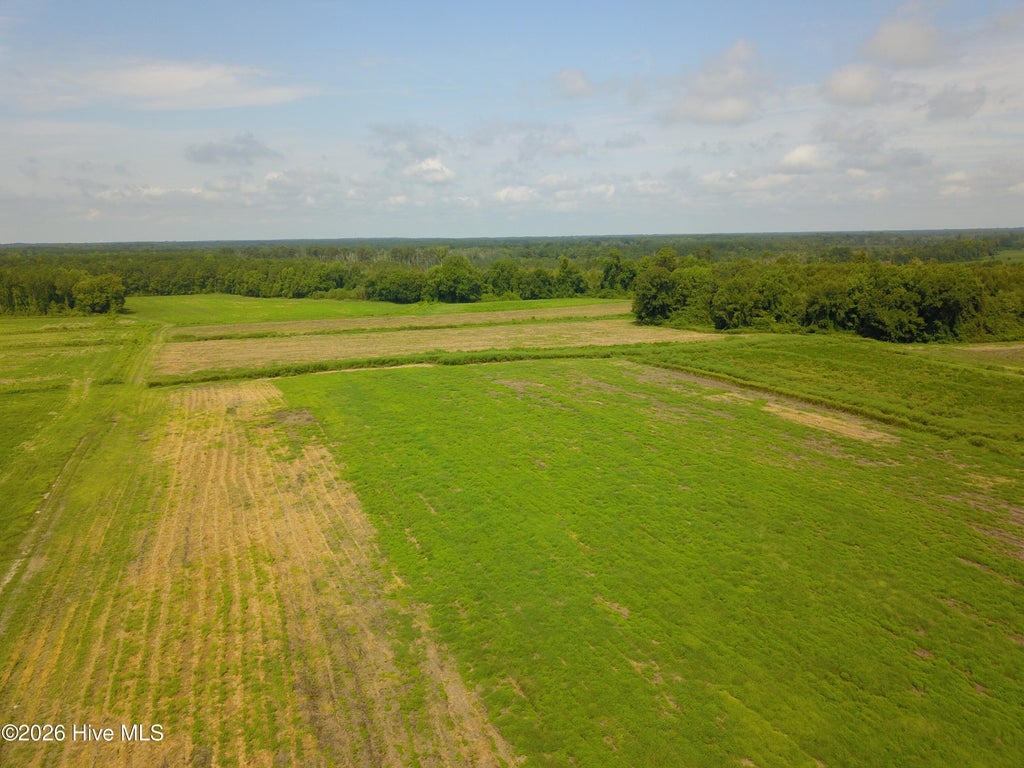 Photo of 2 S Nc 41 Highway, Wallace, NC 28466 (MLS # 100599947)