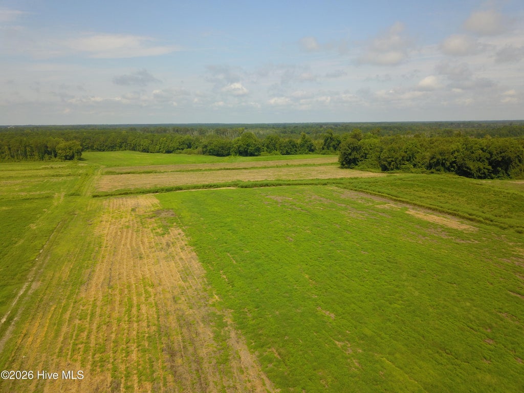 Photo of 2 S Nc 41 Highway, Wallace, NC 28466 (MLS # 100599947)