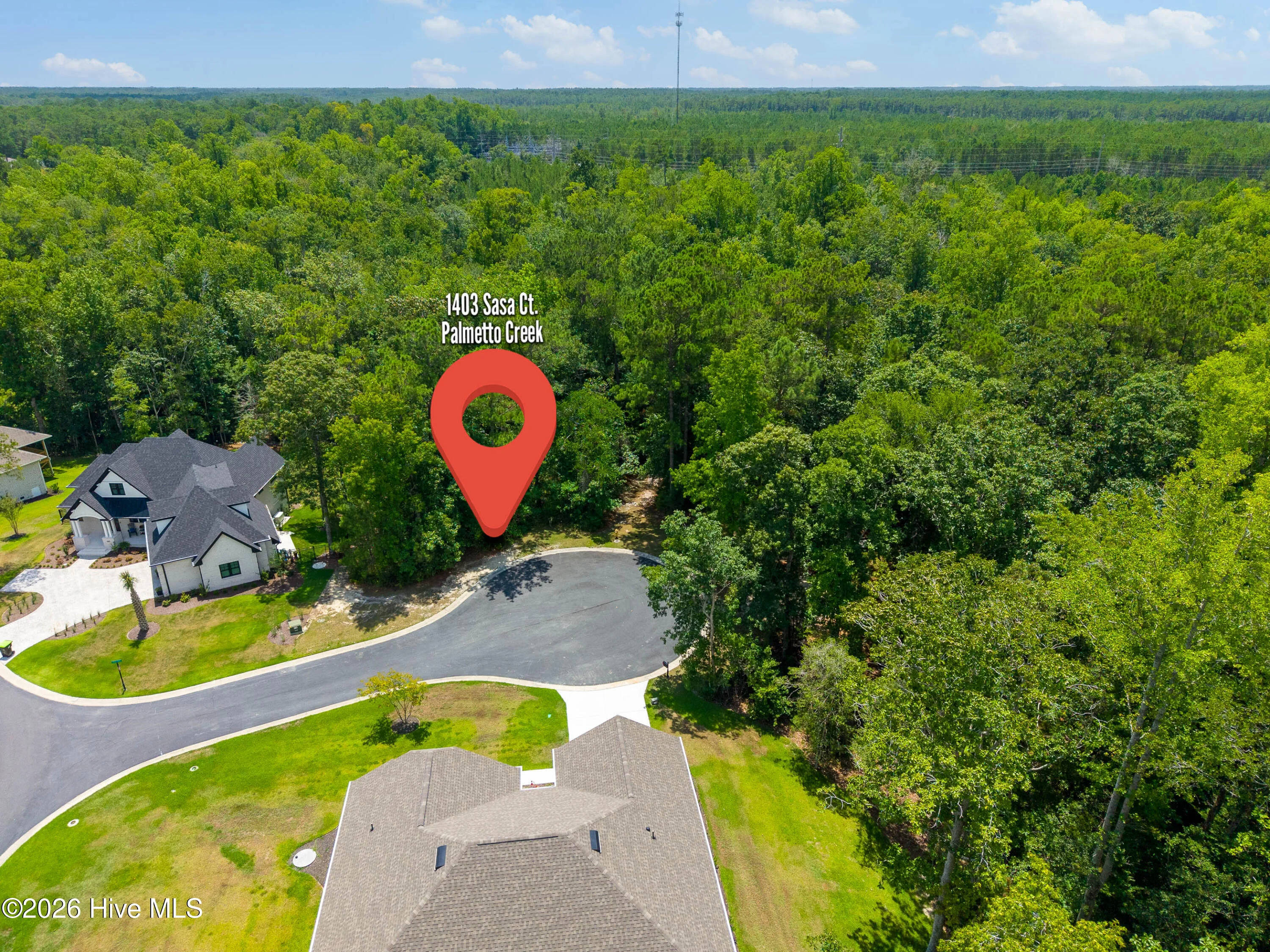 1403 Sasa Court SE