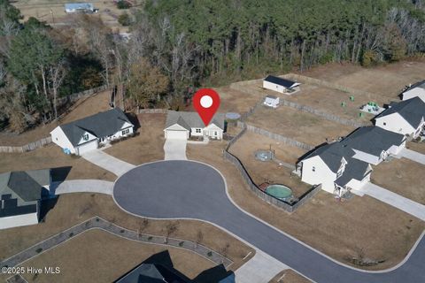 Tiny photo for 502 Daisy May Place, Jacksonville, NC 28540 (MLS # 100546248)
