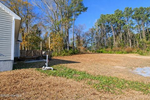 Tiny photo for 502 Daisy May Place, Jacksonville, NC 28540 (MLS # 100546248)