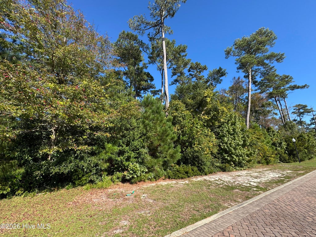 Photo of 4828 Island Walk Drive SW, Shallotte, NC 28470 (MLS # 100611104)