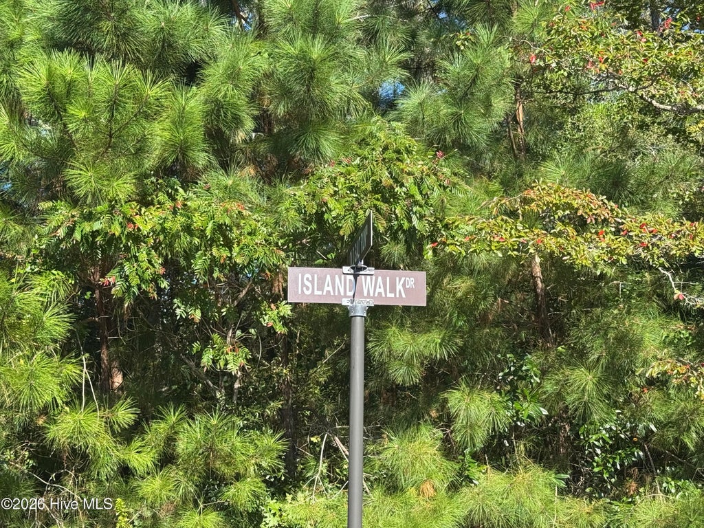 Photo of 4828 Island Walk Drive SW, Shallotte, NC 28470 (MLS # 100611104)