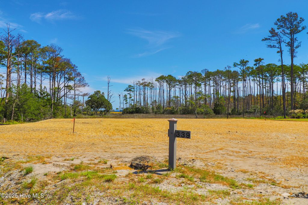 Photo of 530 Freedom Park Road, Beaufort, NC 28516 (MLS # 100536253)