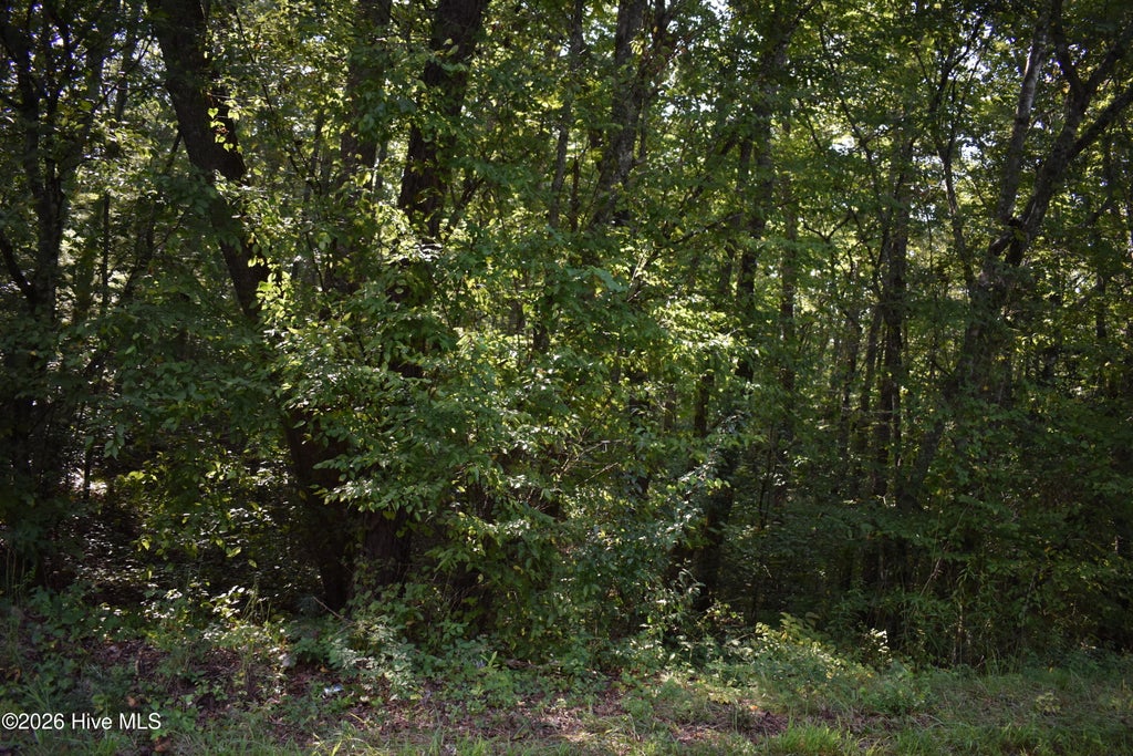 Photo of 31 Ranger Road, Murphy, NC 28906 (MLS # 100601607)