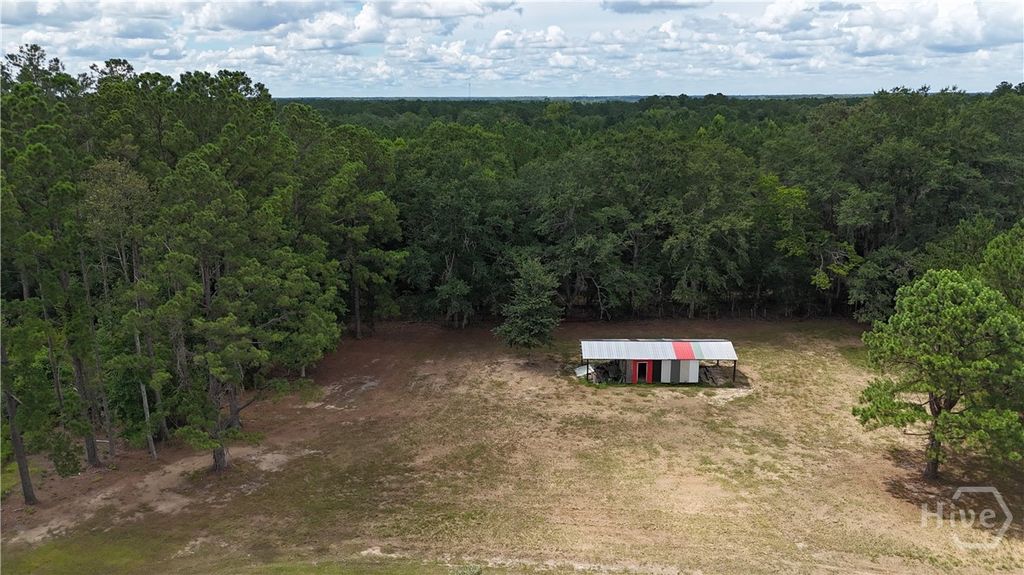 Photo of 913 Berryville Road, Clyo, GA 31303 (MLS # SA360329)