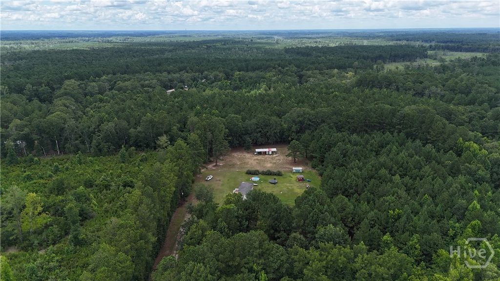Photo of 913 Berryville Road, Clyo, GA 31303 (MLS # SA360329)