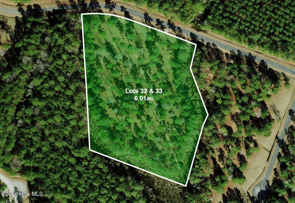 Photo of 3233 Bailey Pointe Drive, Belhaven, NC 27810 (MLS # 100559058)