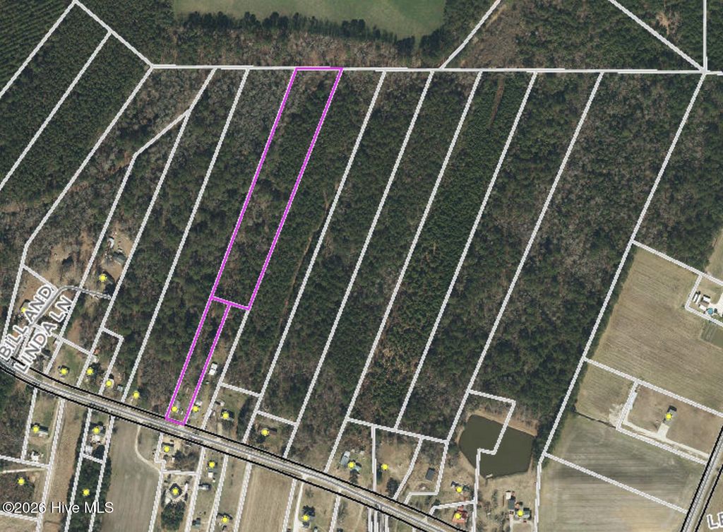 Photo of 285 Lester Houston Road, Pink Hill, NC 28572 (MLS # 100549721)