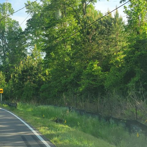 Lots N Wright Street Burgaw NC 28425