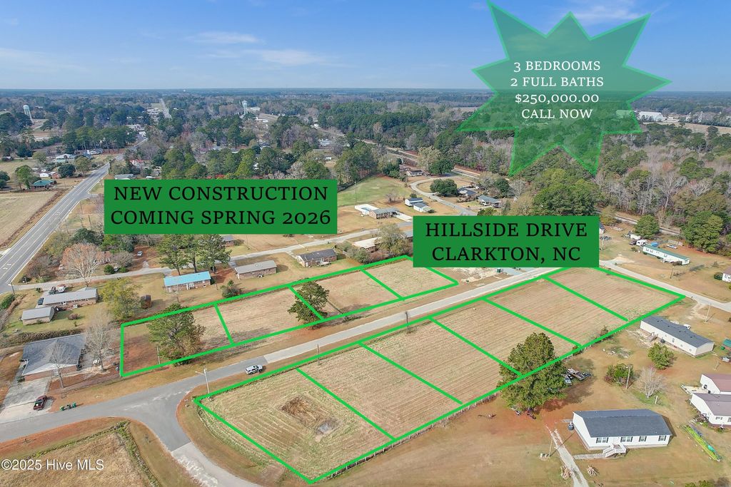 Photo of 115 Hillside Street, Clarkton, NC 28433 (MLS # 100544670)