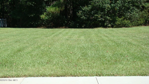 1132 TREYBURN CT NW, CALABASH, NC 28467 - Image 32d3e6406b59cf80c3cbf2d30d070cd5/585125237