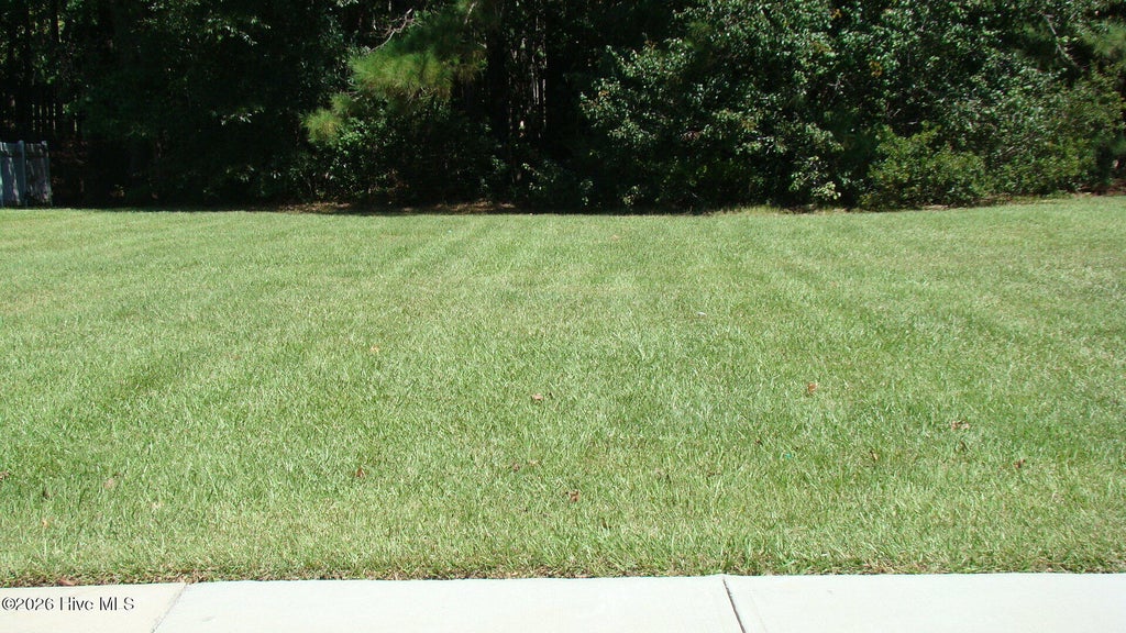 Photo of 1132 Treyburn Court NW, Calabash, NC 28467 (MLS # 100606803)