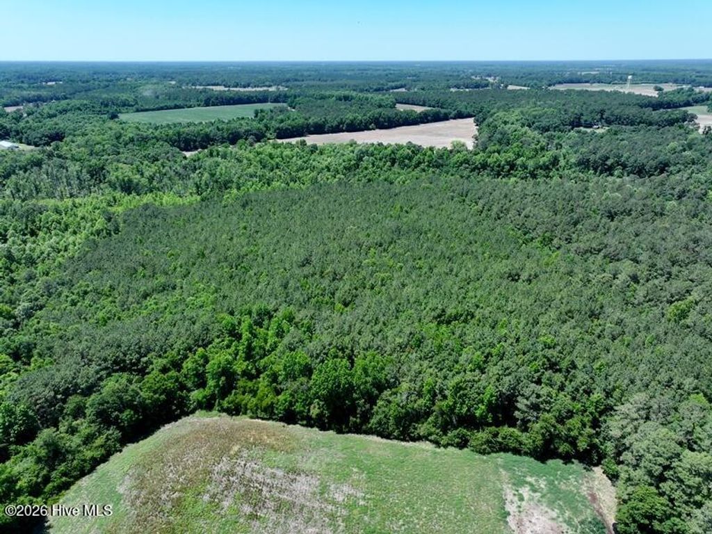 Photo of Tbd Sand Rock Road, Fairmont, NC 28340 (MLS # 100577235)