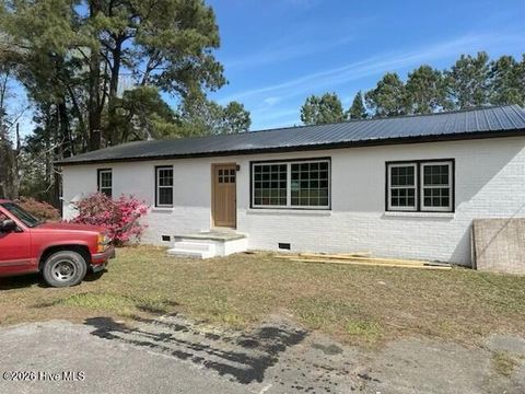 Homes For Sale - 3844 Piney Woods Road<br/> Pender County, Willard, NC 28478