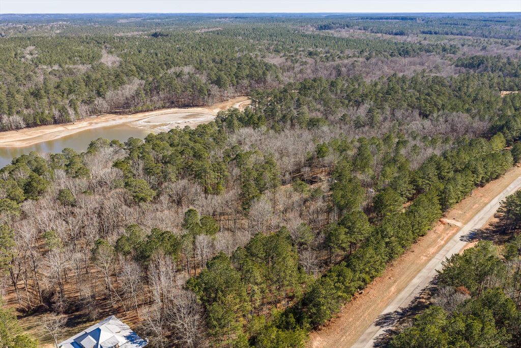 Photo of 64 Wisteria Drive, Lincolnton, GA 30817 (MLS # 551807)