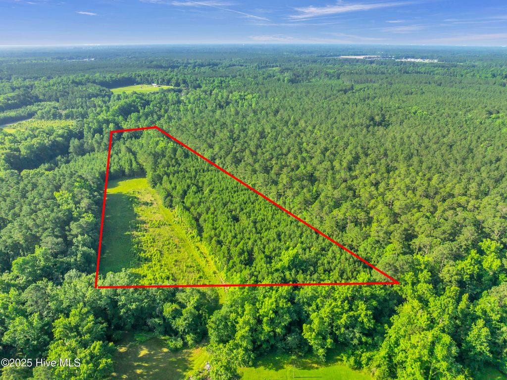 Photo of 15323 Nc Highway 210, Rocky Point, NC 28457 (MLS # 100515313)