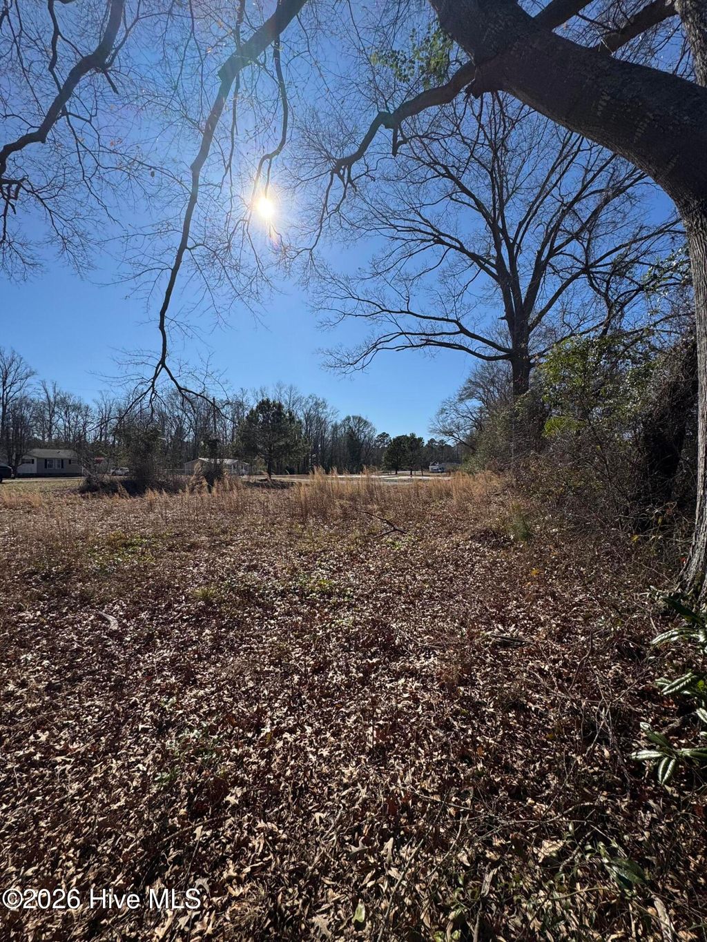 Photo of 117 Old Beechtree Lane, Jacksonville, NC 28540 (MLS # 100553503)