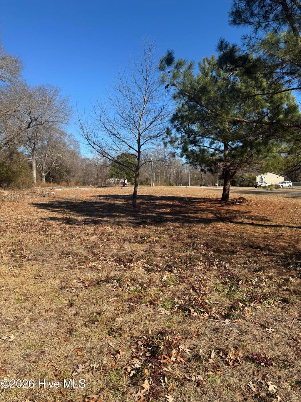 Photo of 117 Old Beechtree Lane, Jacksonville, NC 28540 (MLS # 100553503)