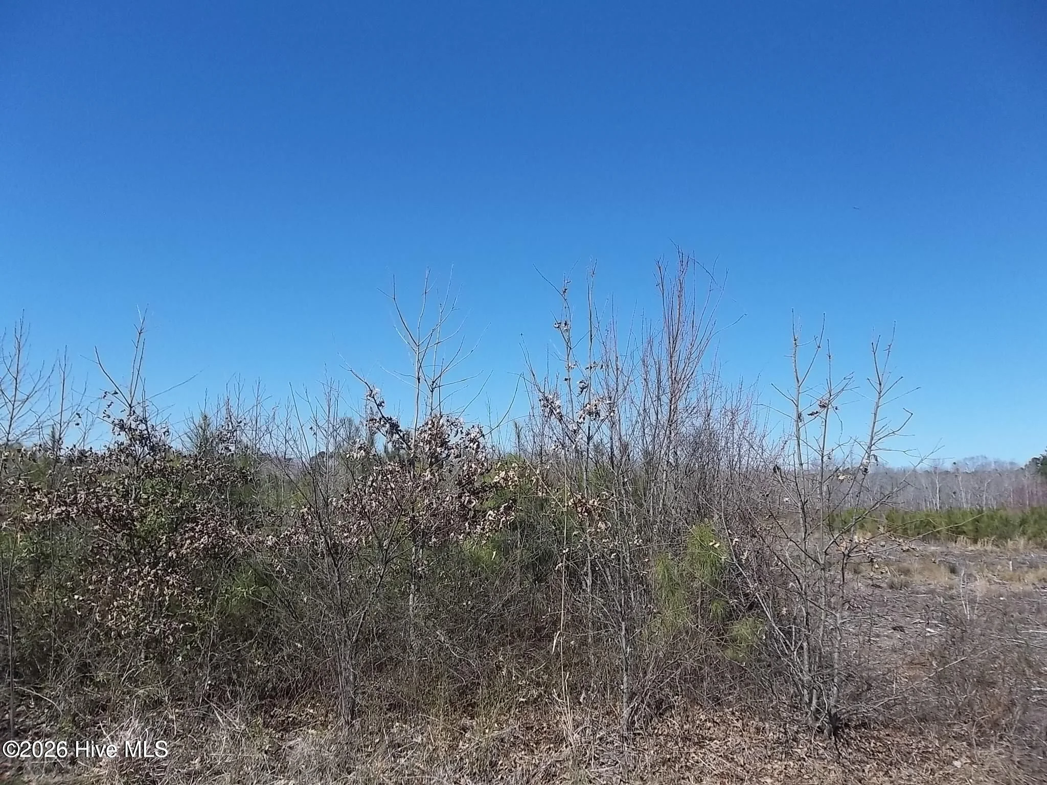 Tbd Boat Ramp Road, New Hope, NC, 27944