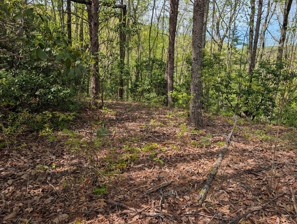 348 Atali Circle - Photo 4