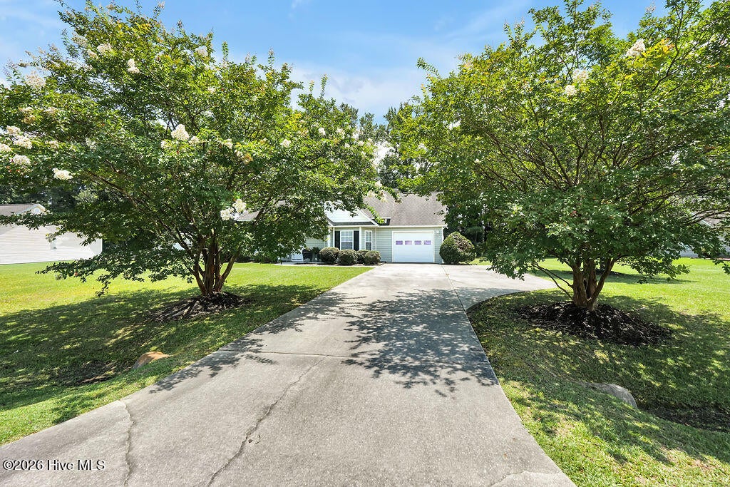 118 Phillip Mills Drive