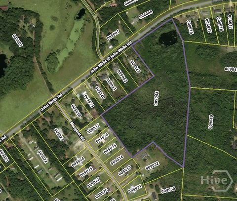 Vacant Land For Sale - 21.57 AC John Wells Road<br/> Liberty County, Hinesville, GA 31313