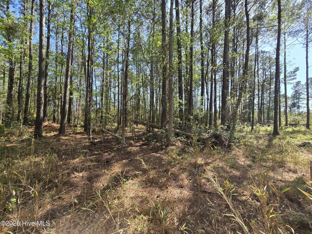 Photo of Lot B Renee Drive, Hampstead, NC 28443 (MLS # 100567018)