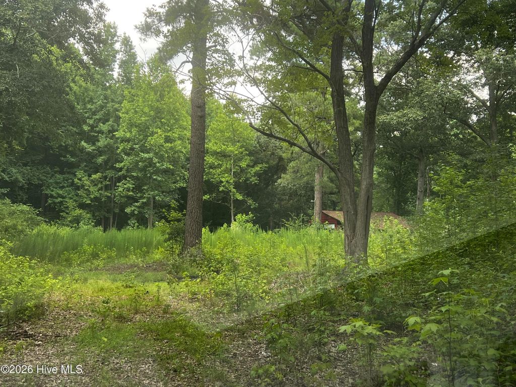 Photo of 0 Davenport Country Lane, Tarboro, NC 27886 (MLS # 100587608)