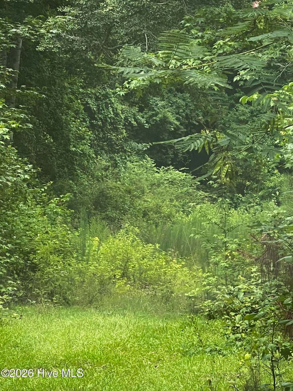 Photo of 0 Davenport Country Lane, Tarboro, NC 27886 (MLS # 100587608)