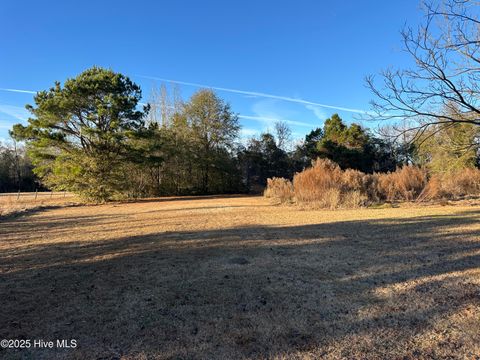 Photo of 814 Luther Banks Road, Beulaville, NC 28518 (MLS # 100544745)
