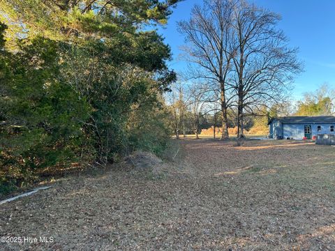Tiny photo for 814 Luther Banks Road, Beulaville, NC 28518 (MLS # 100544745)