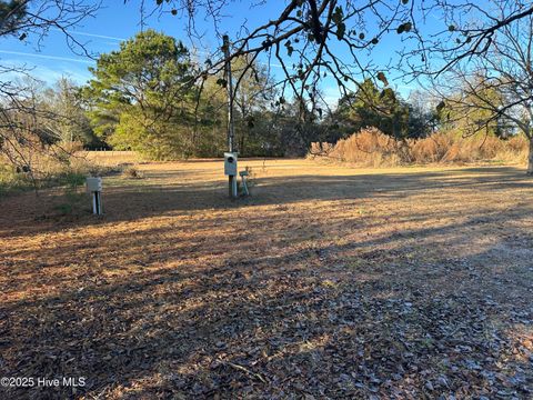 Tiny photo for 814 Luther Banks Road, Beulaville, NC 28518 (MLS # 100544745)