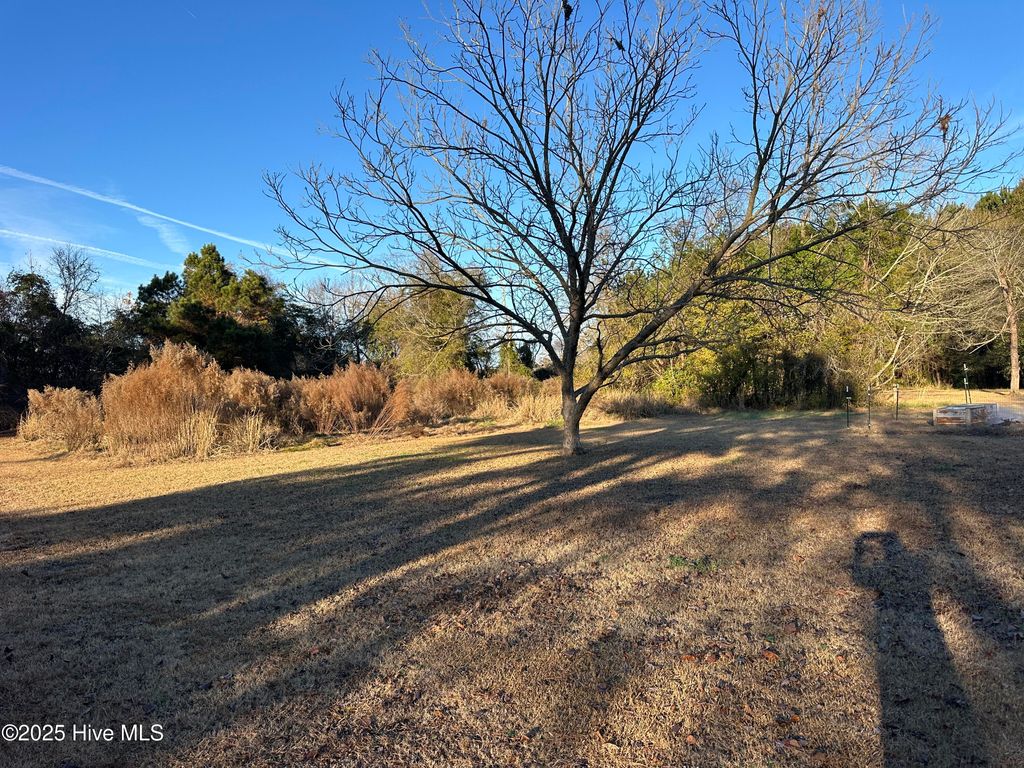 Photo of 814 Luther Banks Road, Beulaville, NC 28518 (MLS # 100544745)