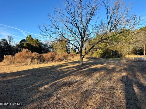 Tiny photo for 814 Luther Banks Road, Beulaville, NC 28518 (MLS # 100544745)