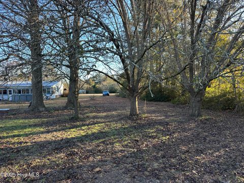 Tiny photo for 814 Luther Banks Road, Beulaville, NC 28518 (MLS # 100544745)