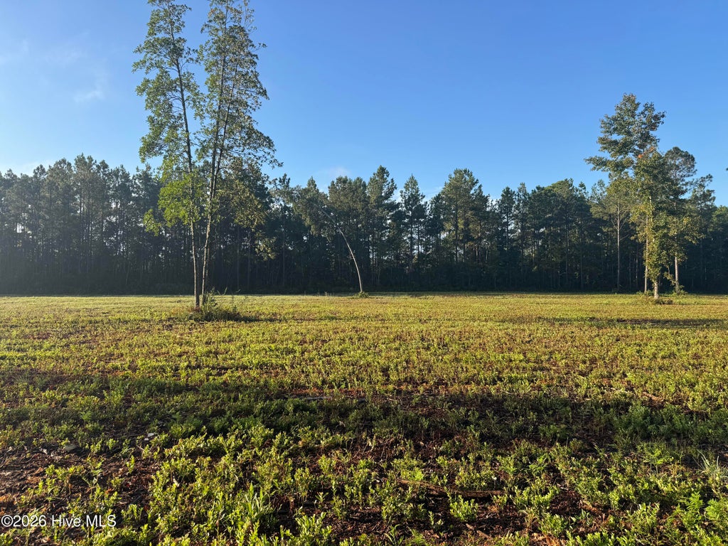 Photo of 0 Nc 306, Grantsboro, NC 28529 (MLS # 100609623)