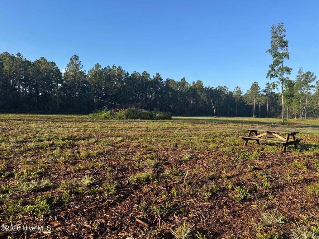 Photo of 0 Nc 306, Grantsboro, NC 28529 (MLS # 100609623)