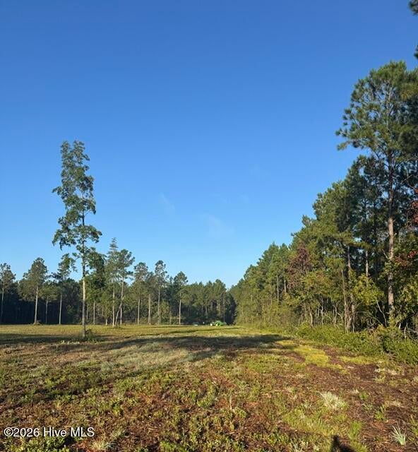 Photo of 0 Nc 306, Grantsboro, NC 28529 (MLS # 100609623)