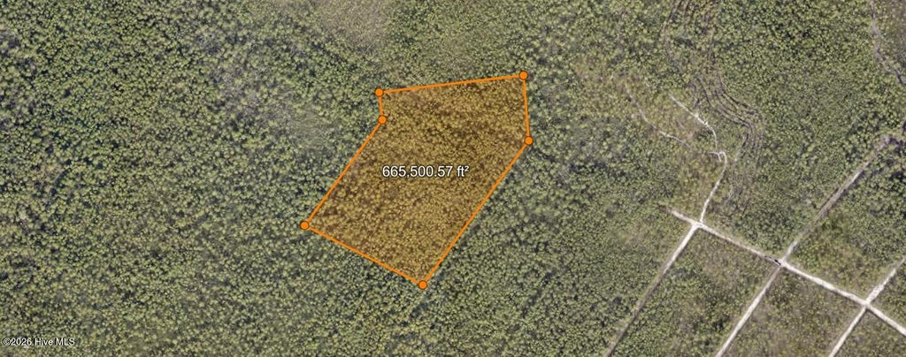 Photo of 14 Not Assigned, Boiling Spring Lakes, NC 28461 (MLS # 100604210)