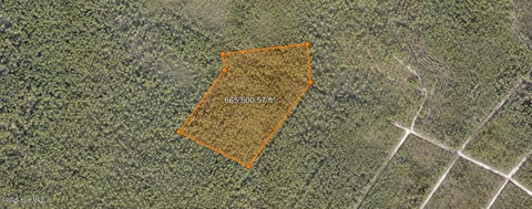 Vacant Land For Sale - 14 Not Assigned<br/> Boiling Spring Lakes, NC 28461